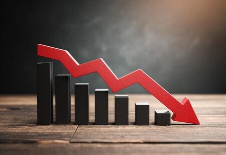 RBL Bank Shares Fall 8% Despite 170% Jump in Q2 Profit